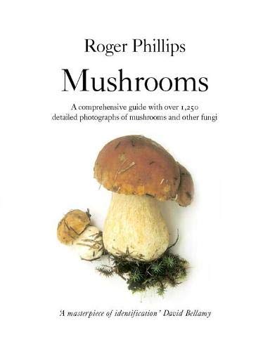 MycoPunks - Mushrooms - Roger Phillips (Paperback) - Book