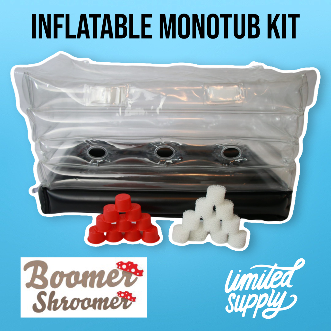 MycoPunks - Boomer Shroomer Inflatable Monotub -