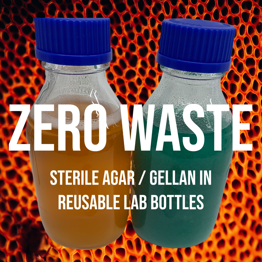 MycoPunks - Sterile Agar in Reusable Simex Glass Lab Bottle - Custom Agar