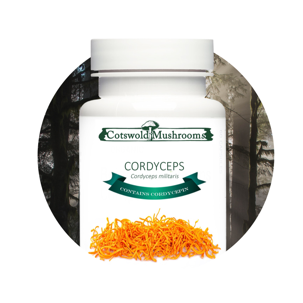 Cordyceps Supplements by Cotswold Mushrooms