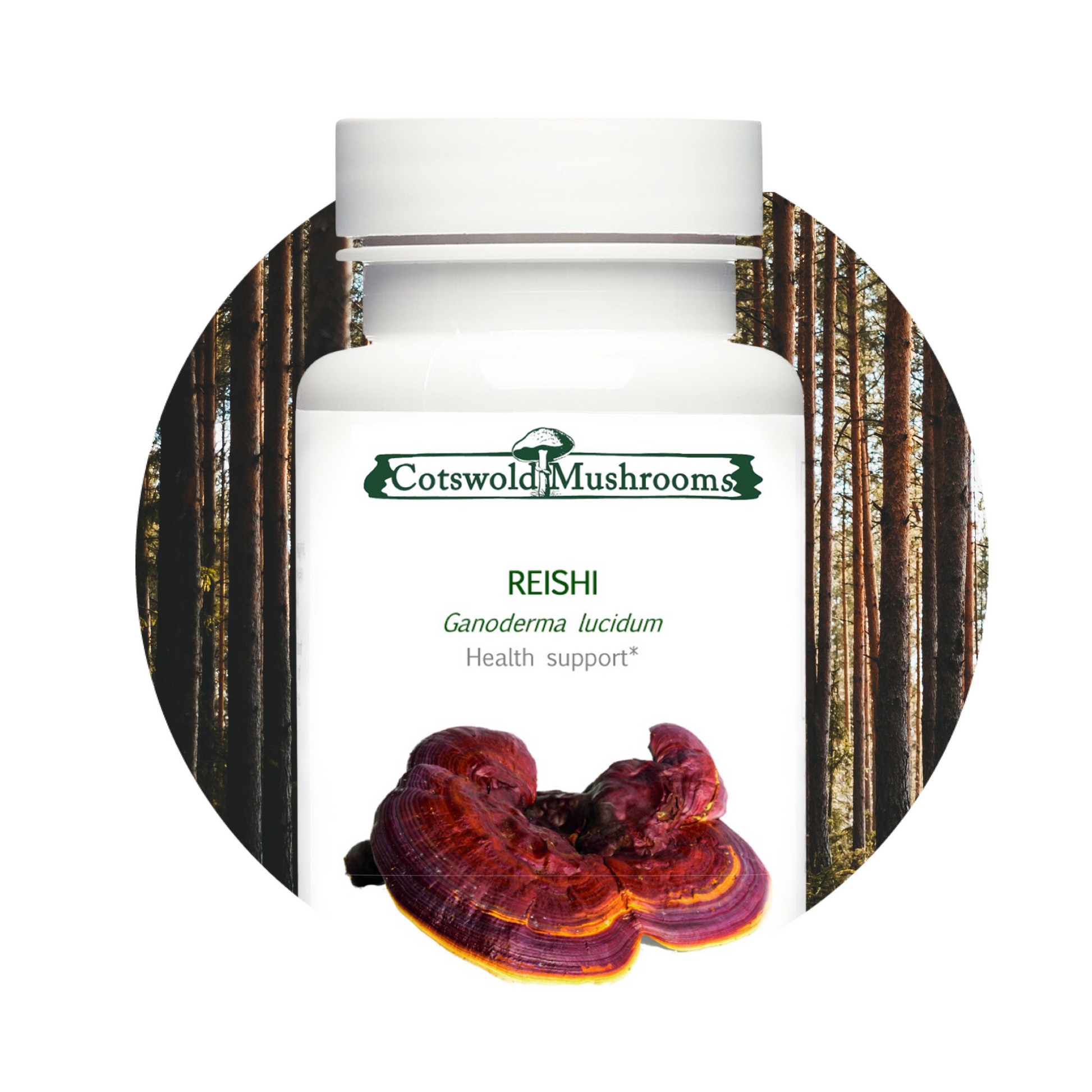 MycoPunks - Reishi Supplements by Cotswold Mushrooms - Self Care