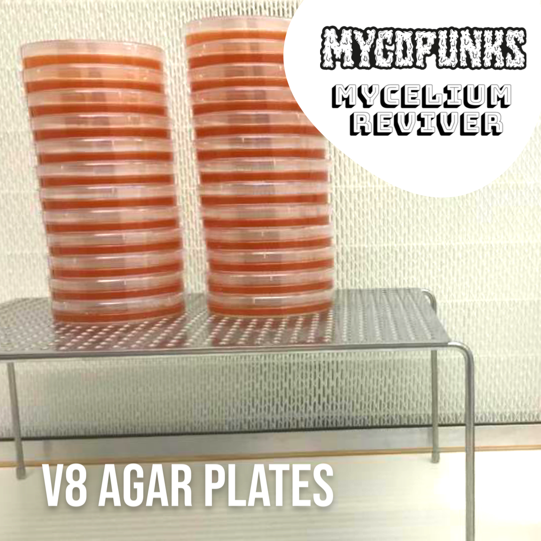 V8+ Agar Pre-Poured Petri Dishes (Mycelium Reviver)