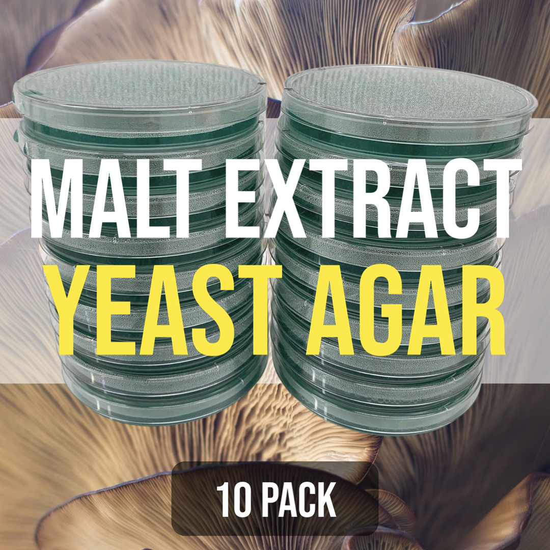 10 MEYA (Malt Extract Yeast) Agar Plates For Fungal Cultures