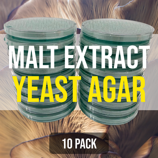 10 MEYA (Malt Extract Yeast) Agar Plates For Fungal Cultures