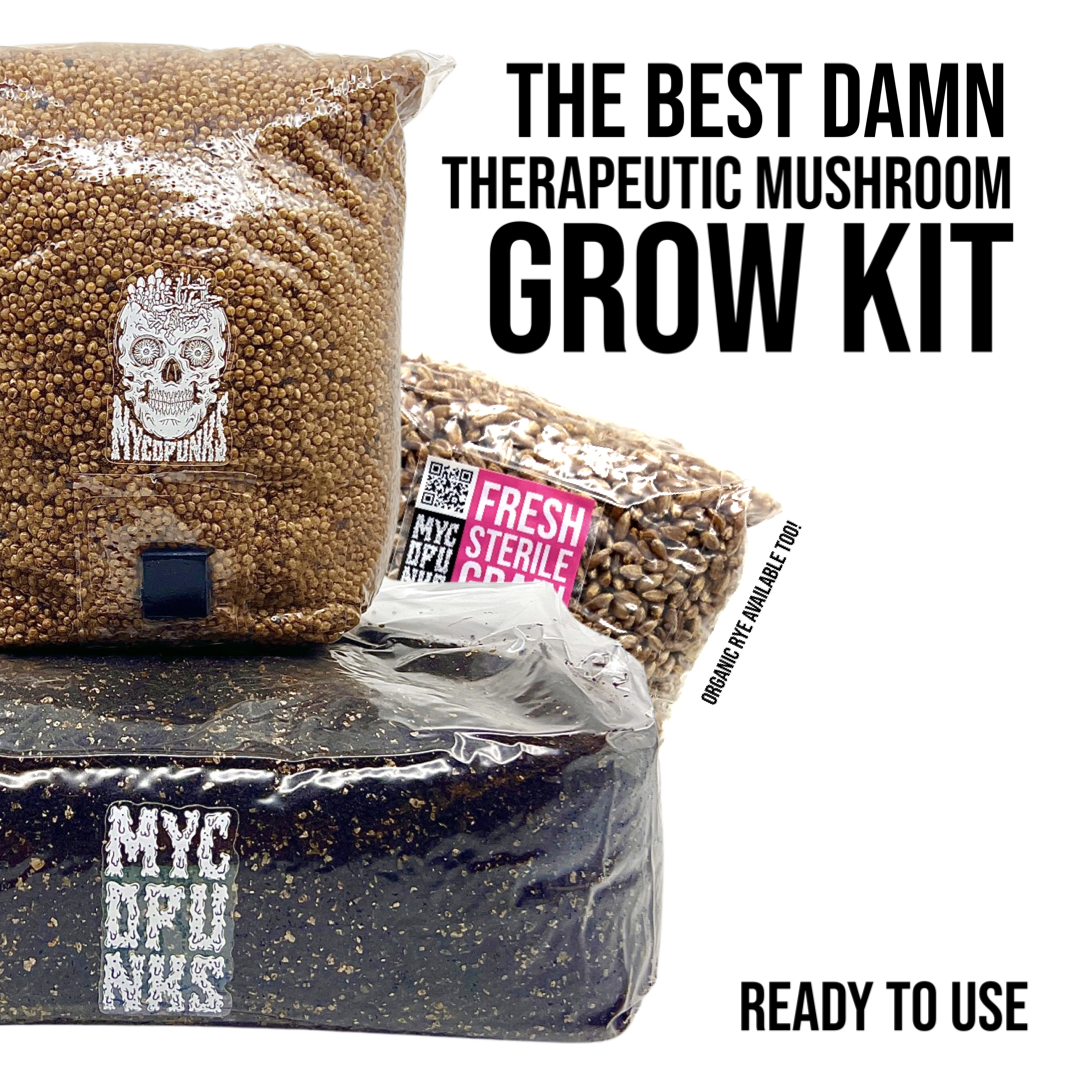 Beginner Grow Kit Easy Fruit in the Bag Mushroom Grow Kit!
