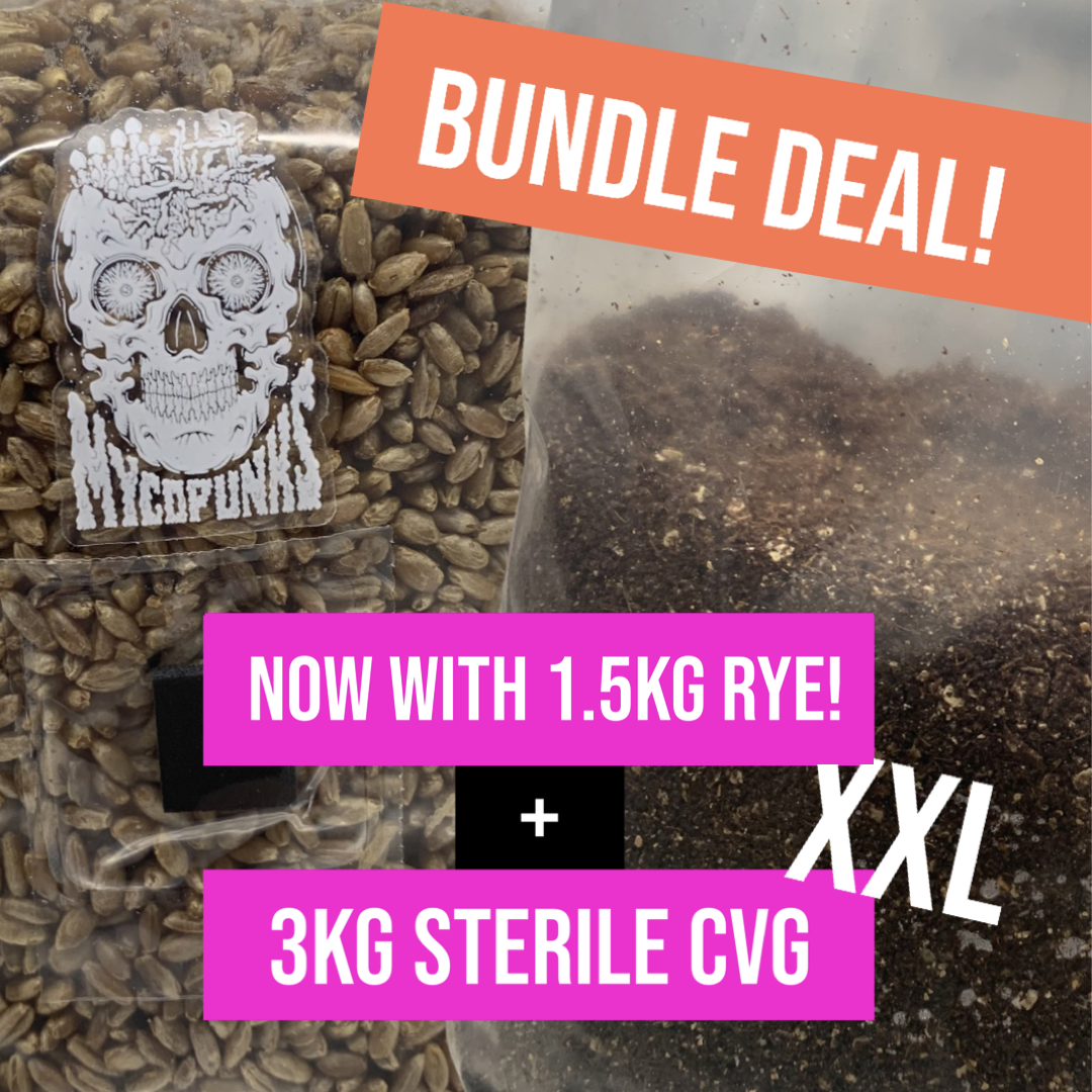 XXL Sterile Rye Grain + CVG bundle (100% Organic)