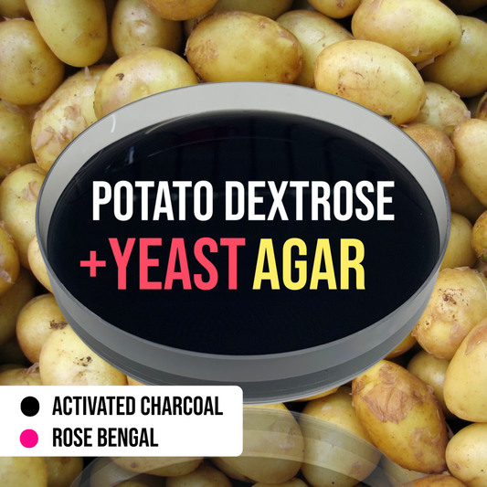 MycoPunks - 10 Potato Dextrose Yeast Agar Custom (PDYA) Petri Dishes for Fungal Cultures -