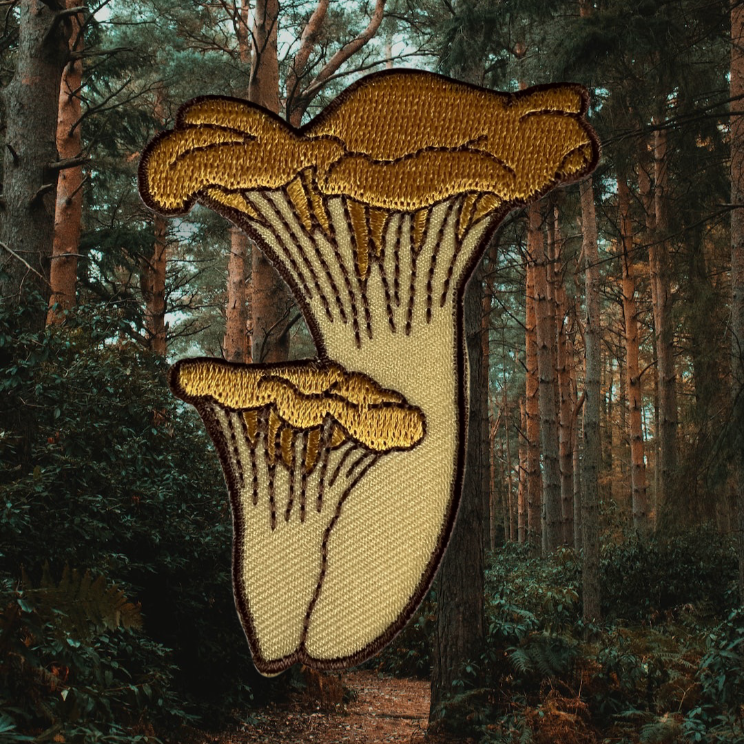 Chanterelle Mushrooms Embroidered Patch by Moss and Morchella
