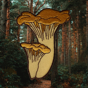 Chanterelle Mushrooms Embroidered Patch by Moss and Morchella