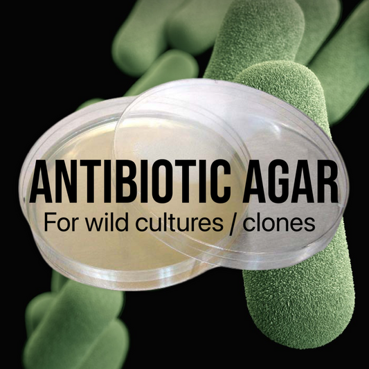 MycoPunks - Antibiotic agar for wild cultures / clones (10 plates) -