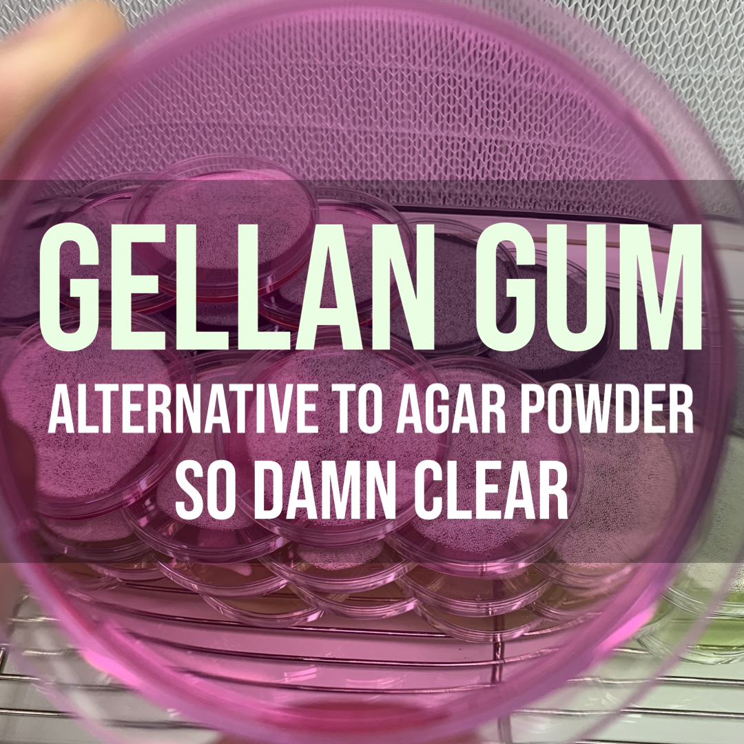 MycoPunks - Gellan Gum Powder 40g (clear alternative to agar) -