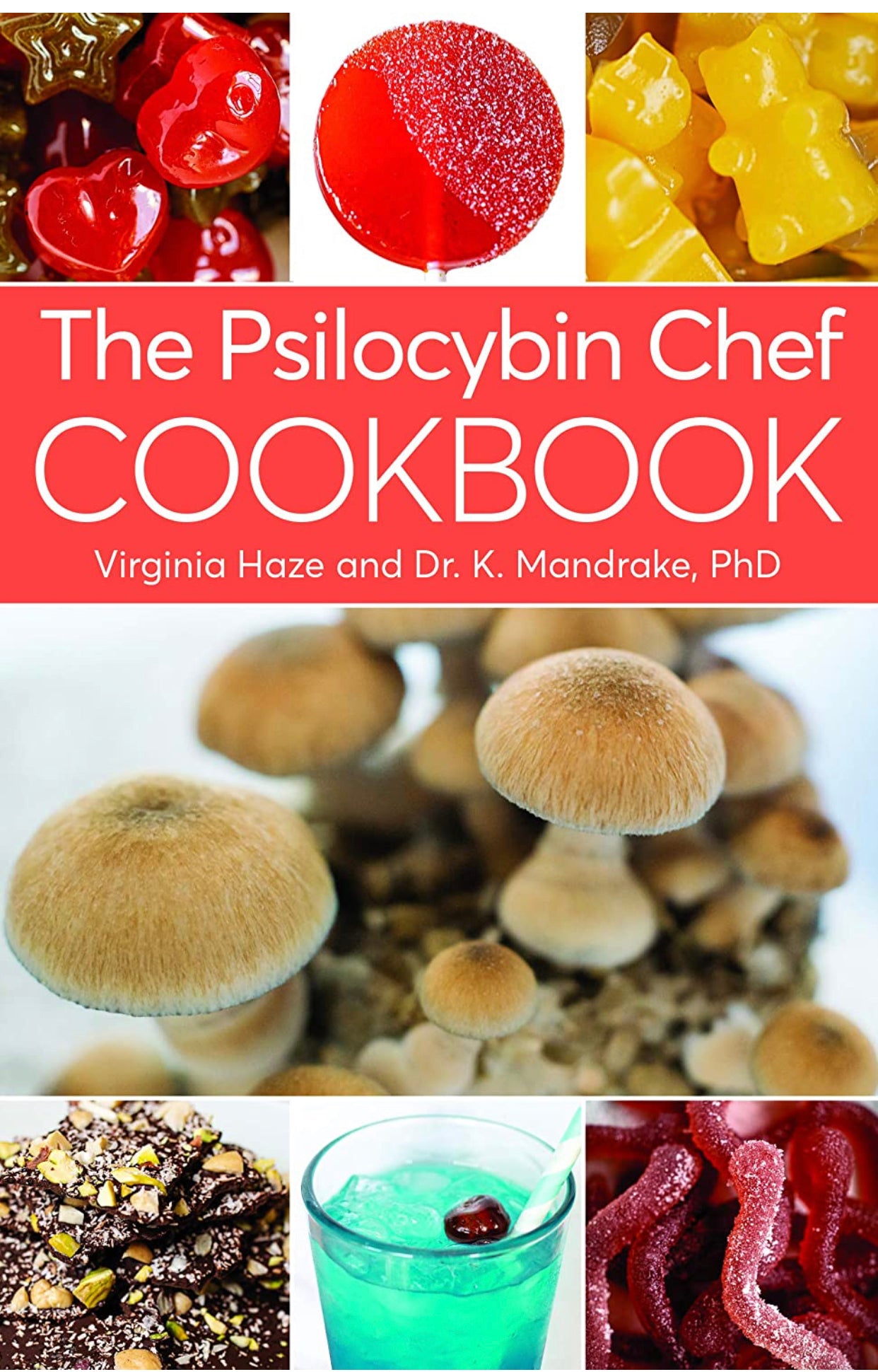 MycoPunks - The Psilocybin Chef Cookbook (paperback) - Book