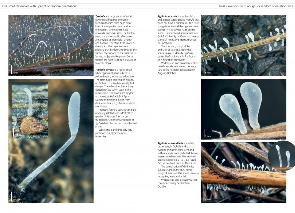 MycoPunks - Fungi of Temperate Europe volumes 1 + 2 - Book