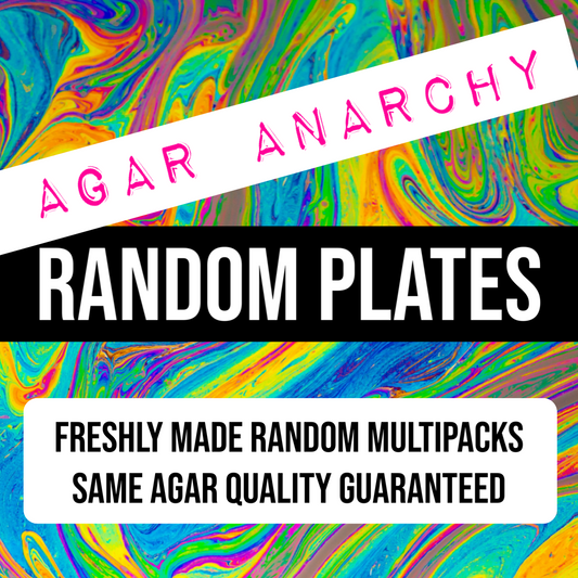 Agar Anarchy : Random Pre-Poured Agar Multipack