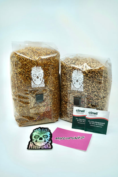MycoPunks - Sterile Organic RYE Grain for Mushroom Spawn Production - Sterile Grain