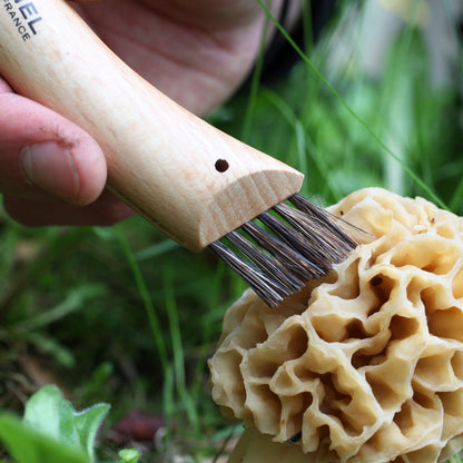 MycoPunks - Opinel No8 Mushroom Foraging Knife - Foraging Knife